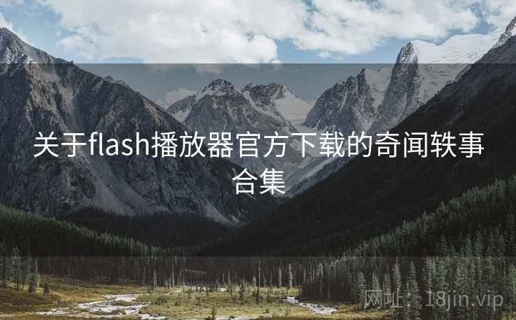 关于flash播放器官方下载的奇闻轶事合集