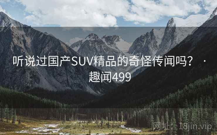 听说过国产SUV精品的奇怪传闻吗？ · 趣闻499